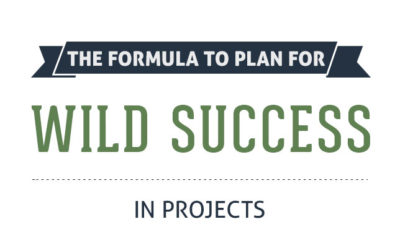 The Formula to Plan for Wild Success in Projects