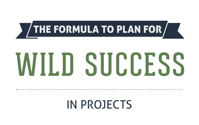 The Formula to Plan for Wild Success in Projects