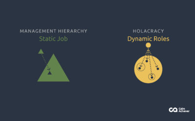Holacracy Vs Management Hierarchy