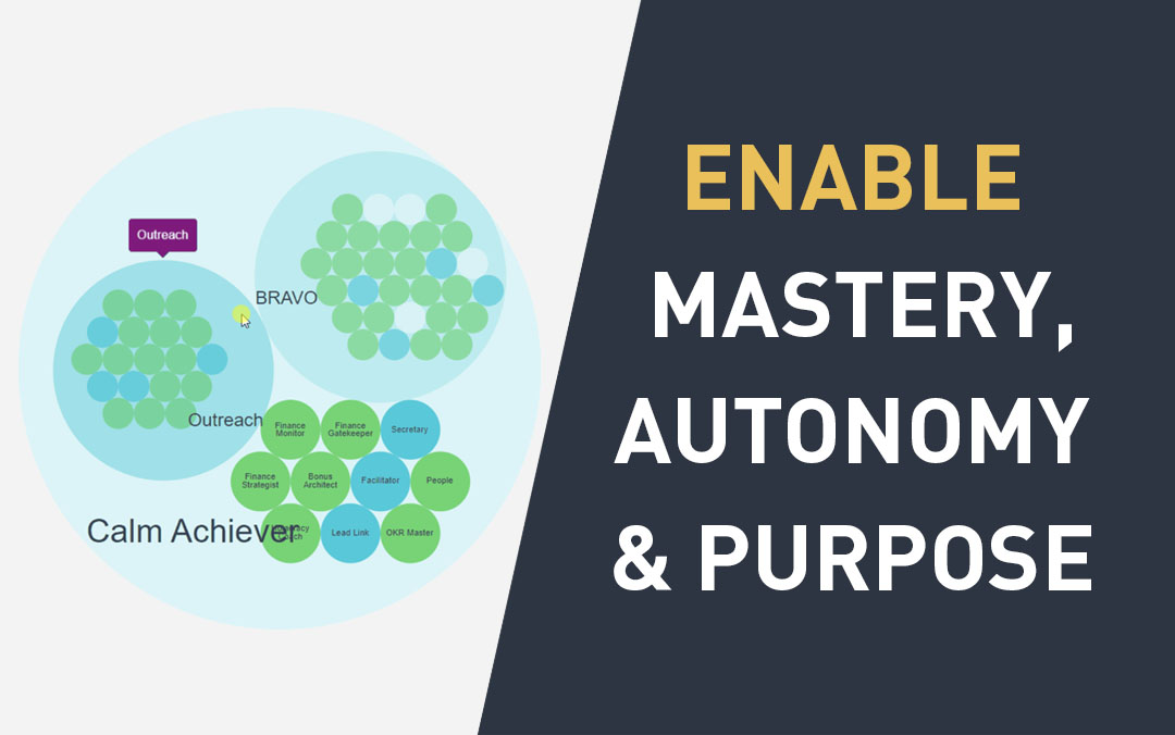 Use a Role-Based Structure to Enable Mastery, Autonomy and Purpose