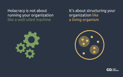 What is Holacracy?