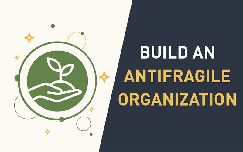 How to Build an Antifragile Organization